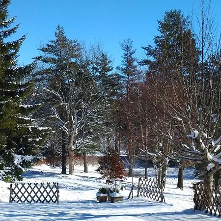 Nature Au Chambon-sur-lignon: Terrasse, Wifi, Proche Activites Et Commerces - Fr-1-582-137 * Le Chambon-sur-Lignon